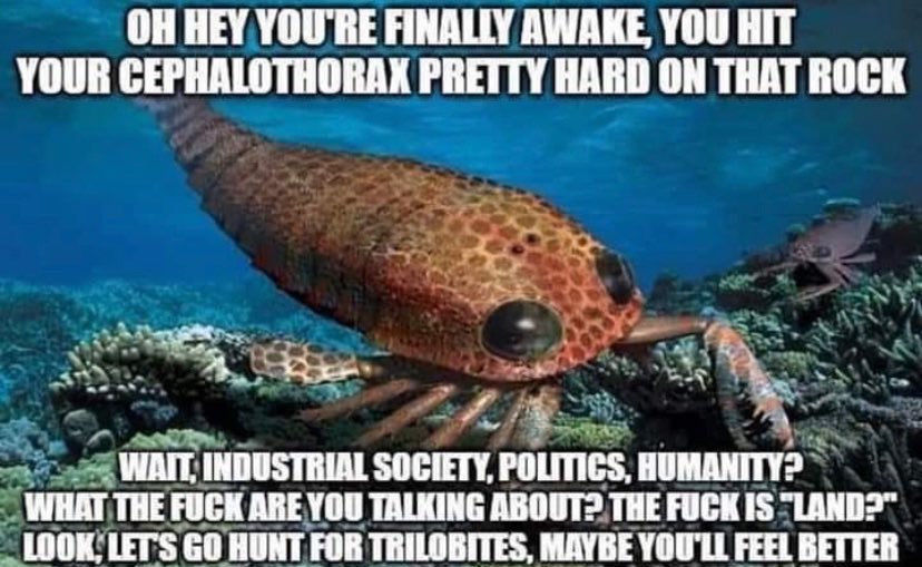 Oh hey you're finally awake, you hit your cephalothrax pretty hard on that rock.
    Wait, Industrial Society, politics, humanity? What the fuck are you talking about? The fuck is 'land'? Look, let's go hunt for trilobites, maybe you'll feel better