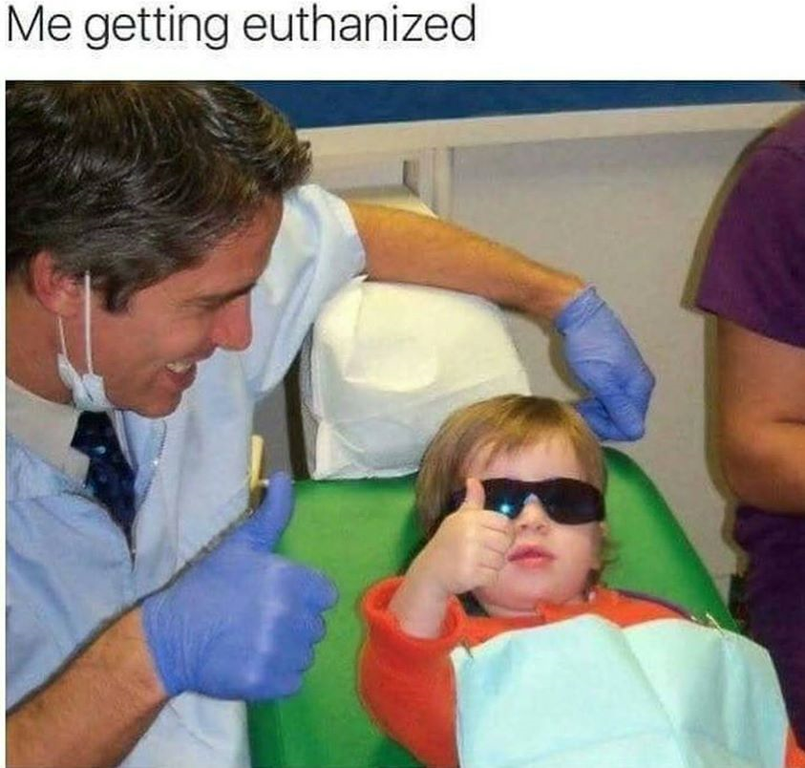 me getting euthanized
